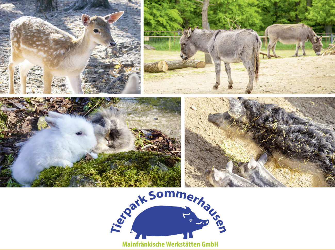 Tierpark Sommerhausen
