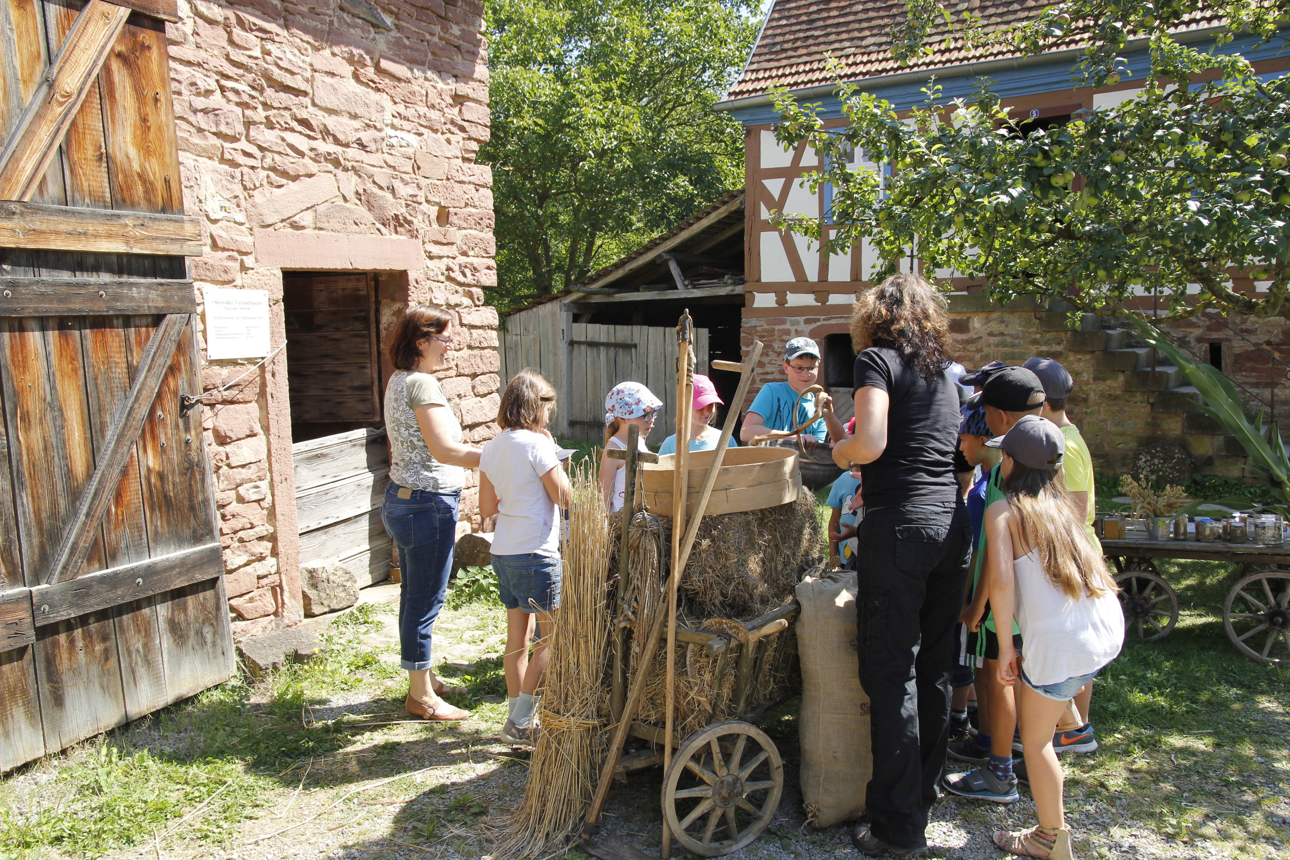 Odenwälder Freilandmuseum