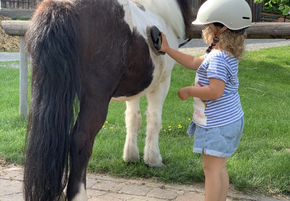 Spaß beim Striegeln