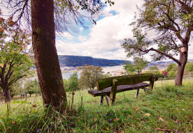 Margaretes Gästehaus – Ferienwohnung am Rheinsteig